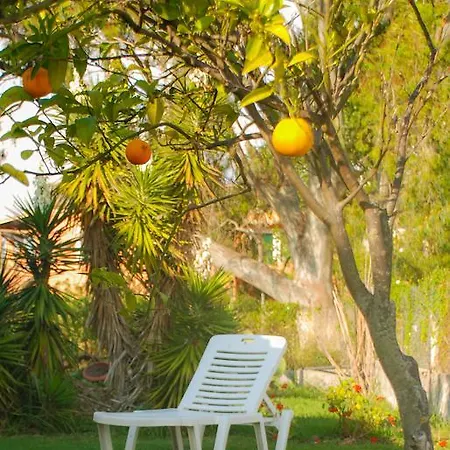 Apartment Lefkes *